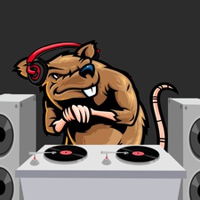 DJ rat