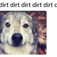 snoopdawg