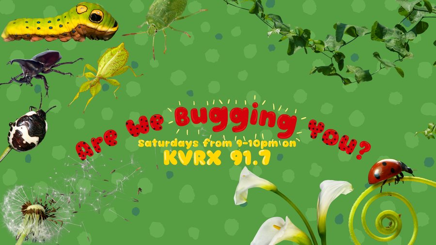 Are We Bugging You? banner
