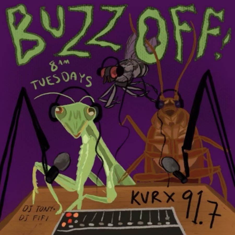 BUZZ OFF! banner