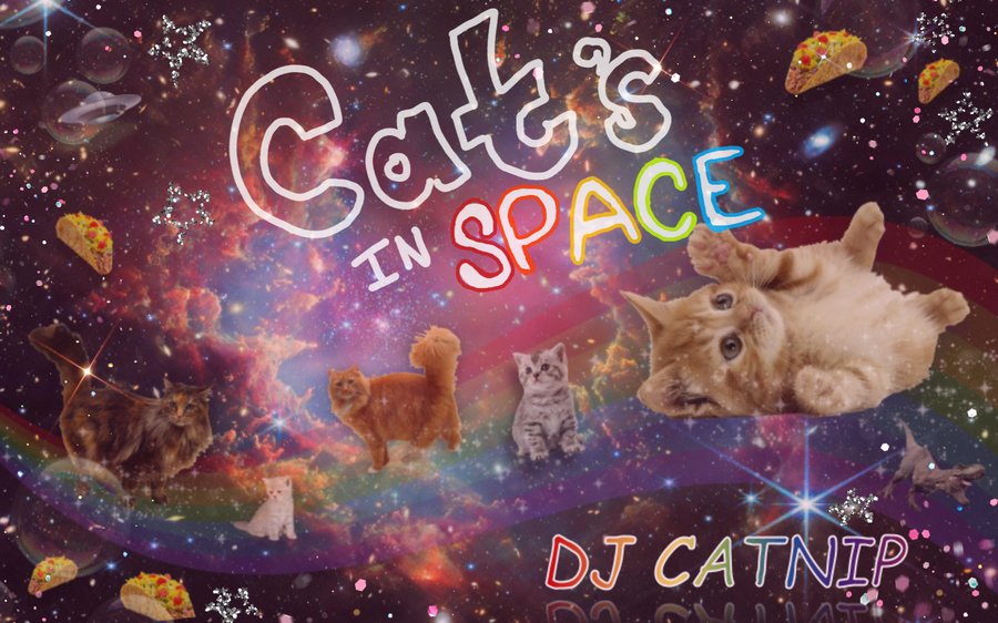 Cats in Space banner