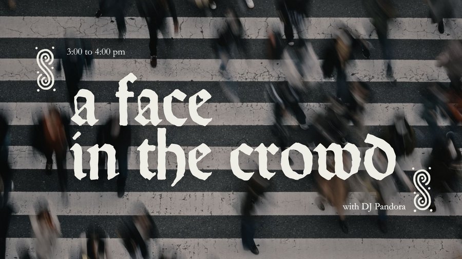A Face in the Crowd. banner