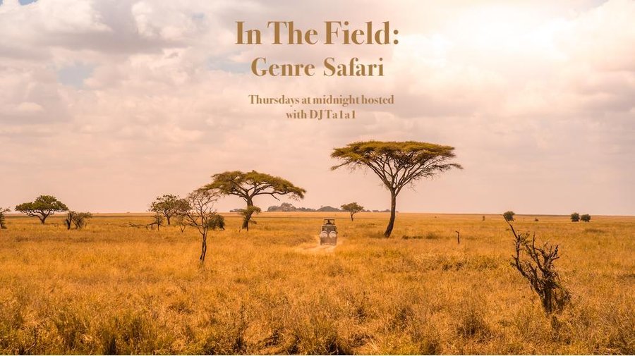 In The Field- Genre Safari banner