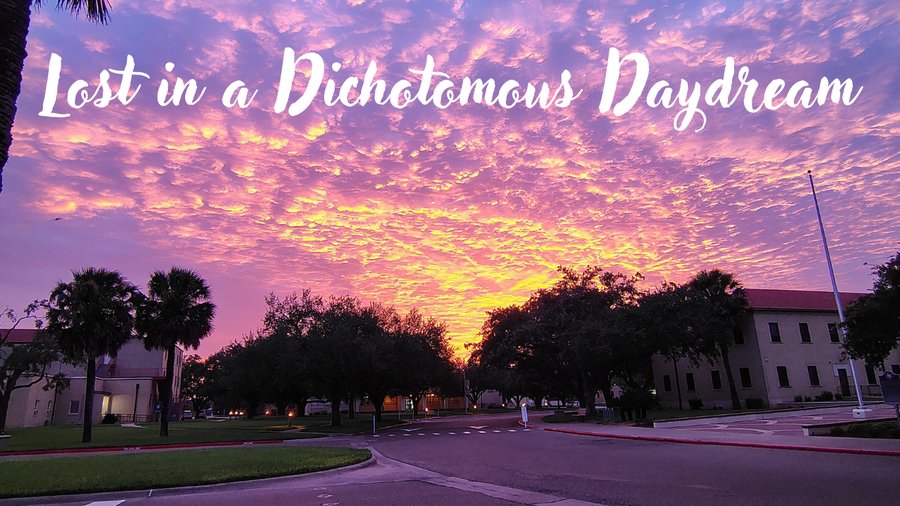 Lost in a Dichotomous Daydream banner