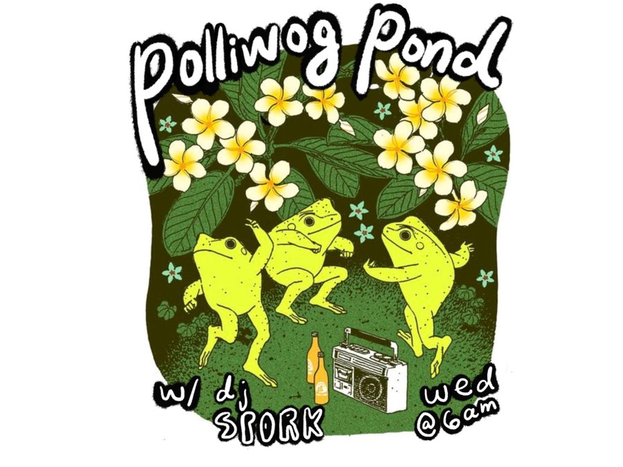polliwog pond banner