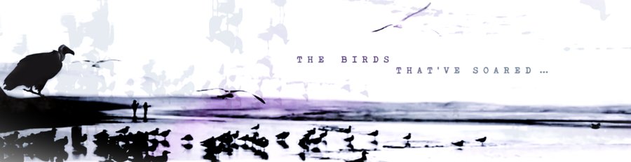 THE BIRDS THAT’VE SOARED... banner