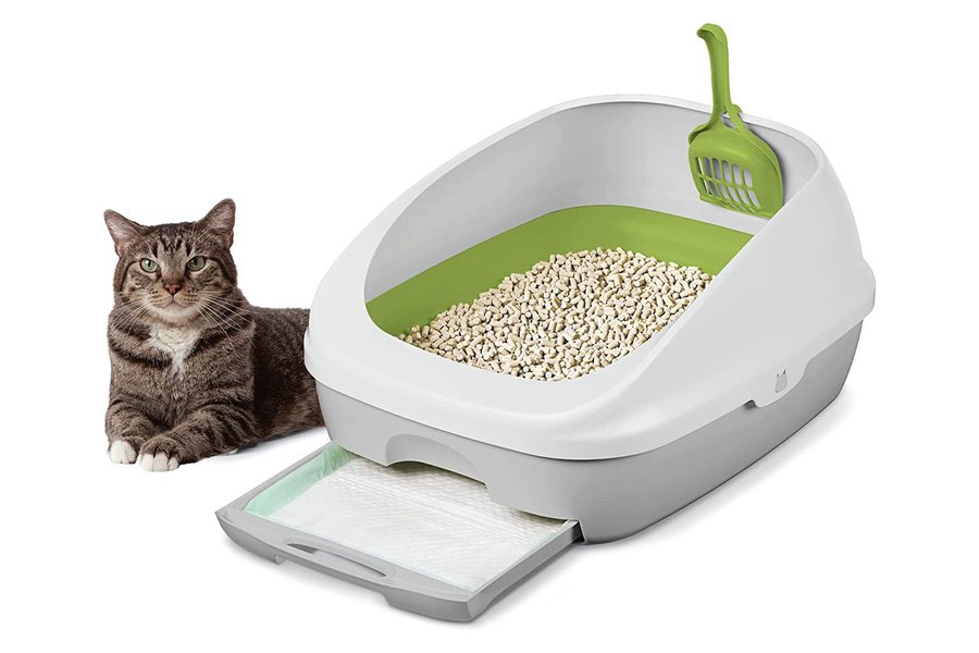 The Litterbox banner