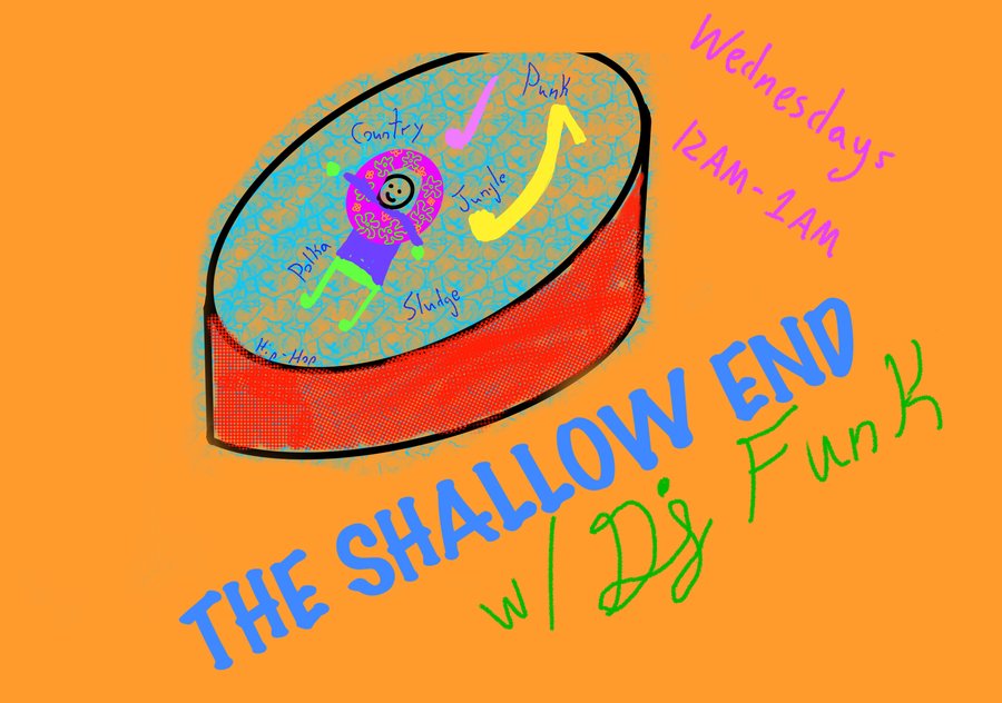 The Shallow End banner