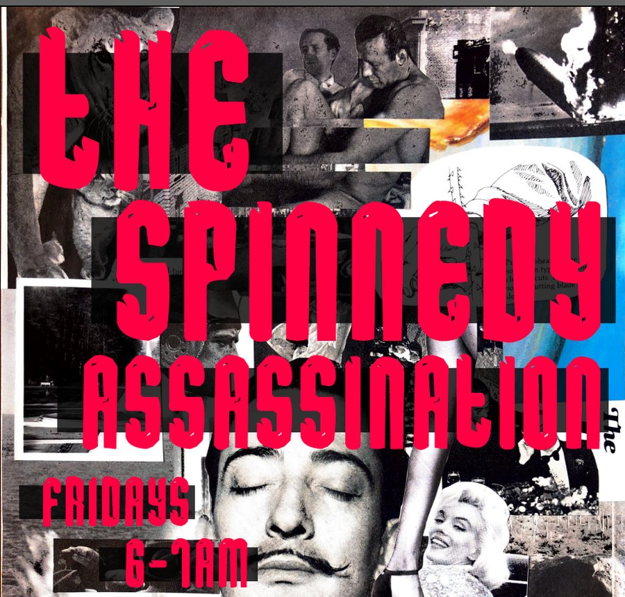 The Spinnedy Assassination banner