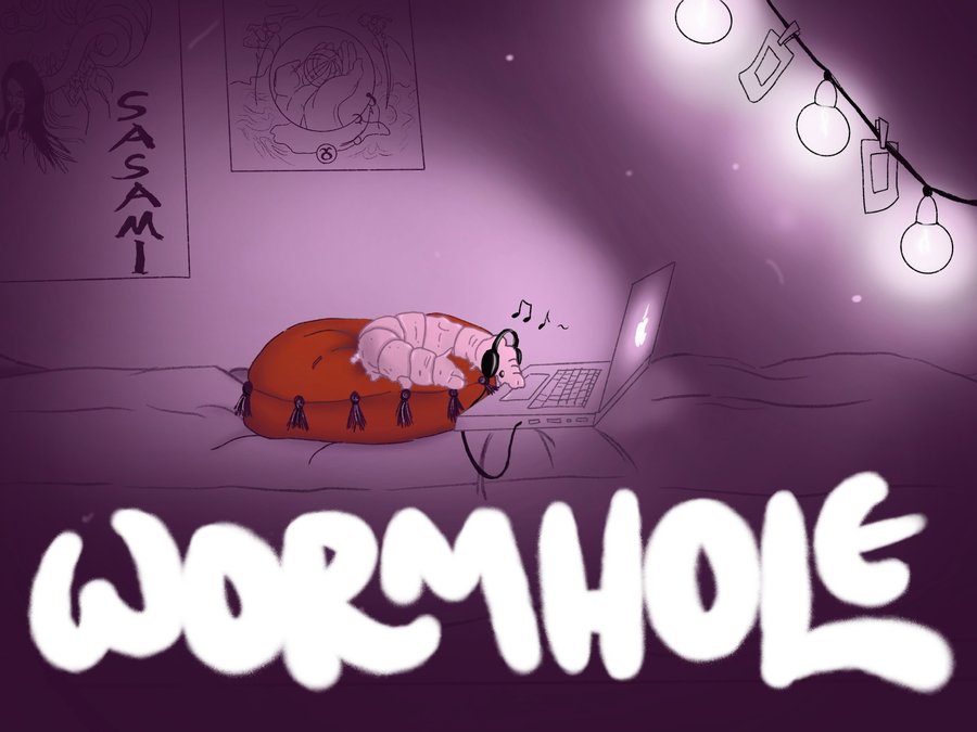 THE WORMHOLE banner