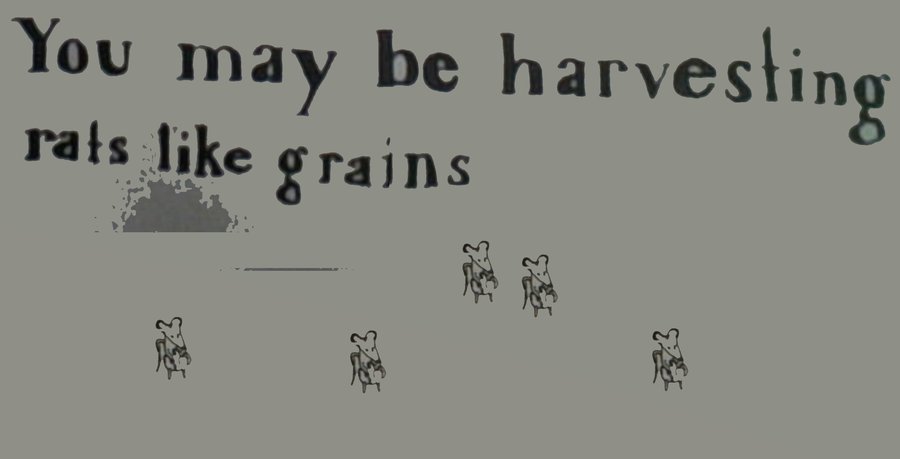 You may be harvesting rats like grains banner